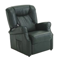 MADISON - LC828 B/V/M/W - FAUTEUIL DE SALON RELEVEUR...