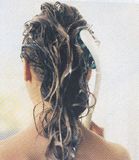 AA1839 - BROSSE A CHEVEUX...