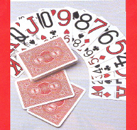 AA7300Y - CARTES...