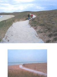 TAPIS DE SOL RENFORCÉ - REVETEMENTS DE SOL...