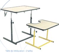 ERGO GRANDE TAILLE - TABLE DE TRAVAIL A HAUTEUR REGLABLE...