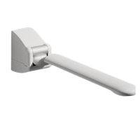 047635 - BARRE D'APPUI RELEVABLE (TYPE ACCOUDOIR)...