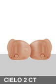 CIELO 2 CT - PROTH�SE AUDITIVE - MINI-CONDUIT...