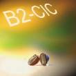 BRAVO B2 - PROTHÈSE AUDITIVE - CONTOUR D