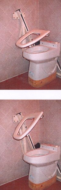 AUTO TRANSFERT DE TOILETTES - CUVETTE DE WC / TOILETTES ...