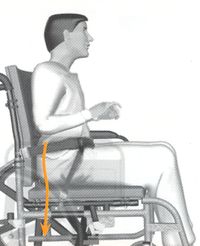 HARNAIS DE BASSIN - CEINTURE DE FAUTEUIL...