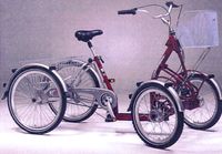PRIMO 05/0045.03 - QUADRICYCLE...