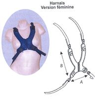 HARNAIS REF 100 540 10 - CEINTURE DE FAUTEUIL...