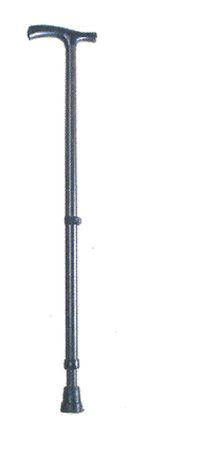 REF 890202 - CANNE AVEC UN PIED...