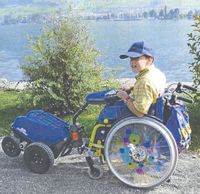 SWISS TRAC 2 - TROISIEME ROUE ELECTRIQUE POUR FAUTEUIL R...