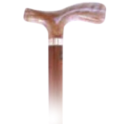IMITATION CORNE-960102 - CANNE AVEC UN PIED...