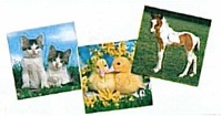 5048-5046-PUZZLE CONTOUR - JEU DE SOCIETE...