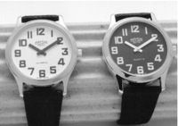 32004 - 32005 - MONTRE...