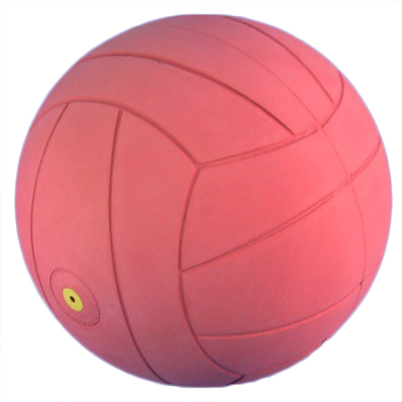 Ballon de torball 56020