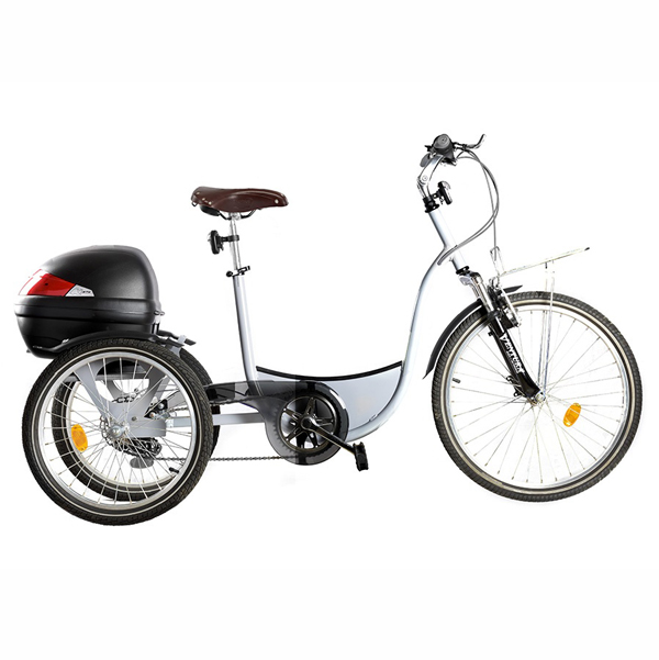SUIVEUR - TRICYCLE A DEUX ROUES ARRIERE PROPULSE PAR LES...