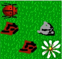Coccinelle - LOGICIEL D'APPRENTISSAGE...