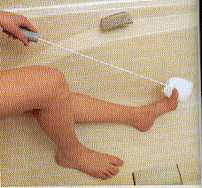 T 7059 - BROSSE A MANCHE ALLONGE...