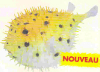 FB 205 - JOUET D'EVEIL...
