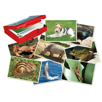 2400-IMAGES D ANIMAUX - JEU DE SOCIETE...