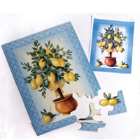 5030-CITRONS - JEU DE CONSTRUCTION...