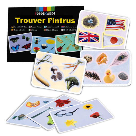 TROUVER L'INTRUS - CARTES...