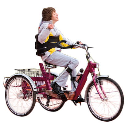 Ecoline - Tricycle à deux roues arrière propulse par les...