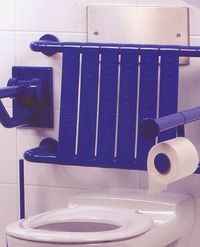 0841 32 - DOSSIER DE TOILETTE / WC...