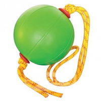 17396 - SPORT DE BALLE...