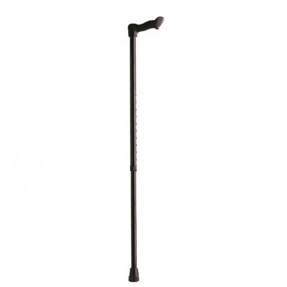 P 264 A-P 265 B - CANNE AVEC UN PIED...