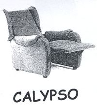 CALYPSO GAMME VARIOCAM - FAUTEUIL DE SALON RELEVEUR...