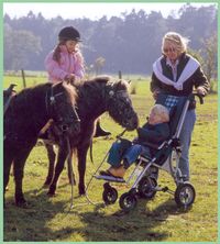LISA TAILLE 2 - POUSSETTE A CHASSIS PLIANT...