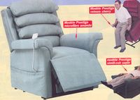 FAUTEUILS RELEVEURS - FAUTEUIL DE SALON RELEVEUR...